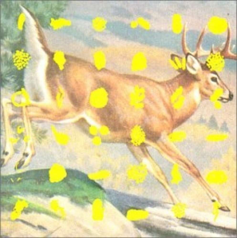 Various Artists Fields and Streams