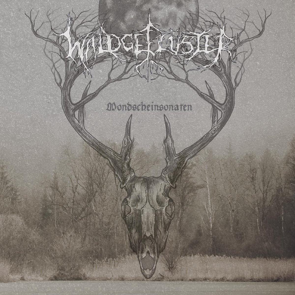 Waldgefl¸ster Mondscheinsonaten