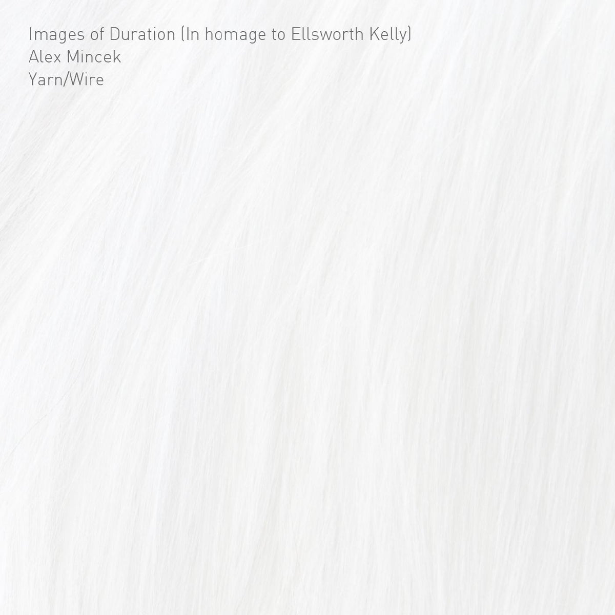 Yarn/Wire Images of Duration (In homage to Ellsworth Kelly)