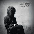 Yellow Ostrich Strange Land